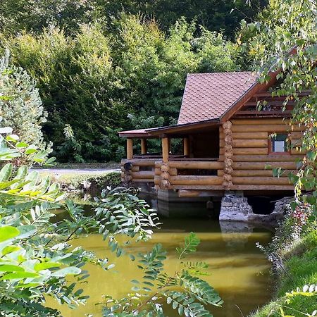 Rancho 555 Guest House Ujhorod Exterior foto
